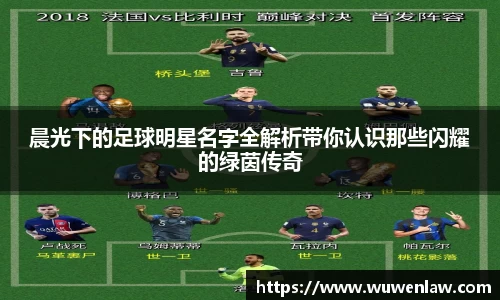 晨光下的足球明星名字全解析带你认识那些闪耀的绿茵传奇